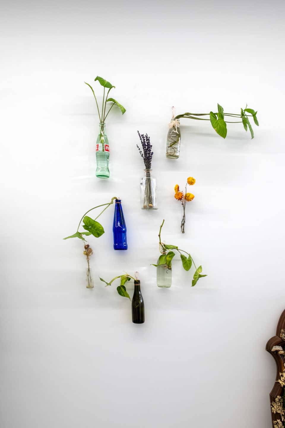 Peculiar Movements/Green Junctions at NAMARA projects